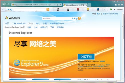 IE9 (Internet explorer 9)32位