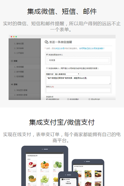 表单大师截图3