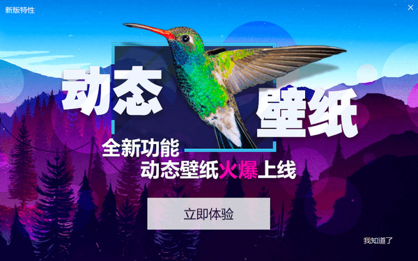 小鸟壁纸(原360壁纸)截图