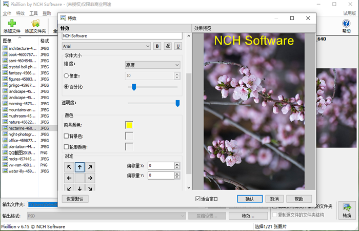 NCH Pixillion图像照片格式转换软件