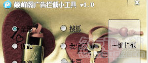 巅峰阁广告拦截小工具 免安装版