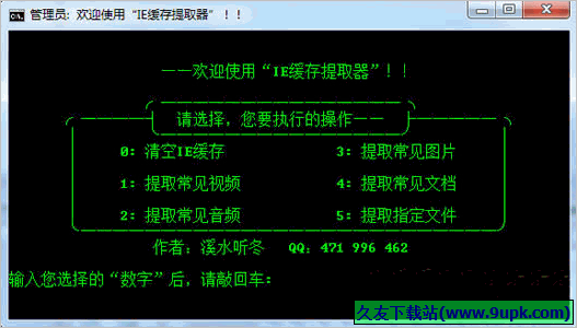 IE缓存提取器 免安装版