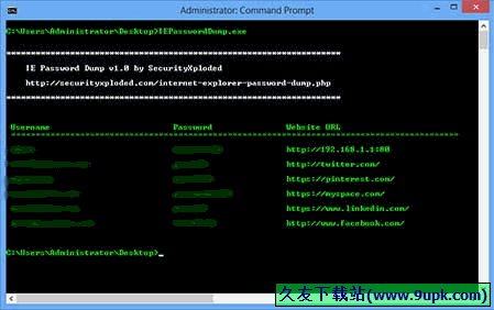 IE Password Dump 免安装版[IE密码恢复器]