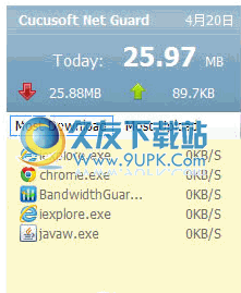 Cucusoft Net Guard 英文版[网络流量统计条]