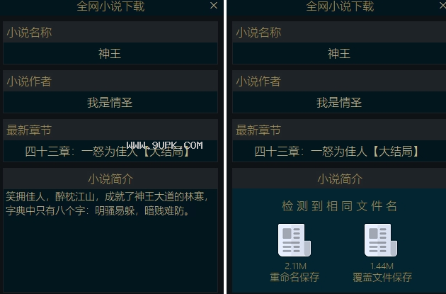 全本精校小说下载器