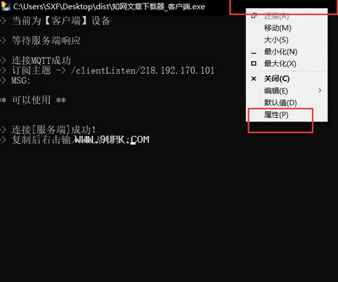知网文章下载器