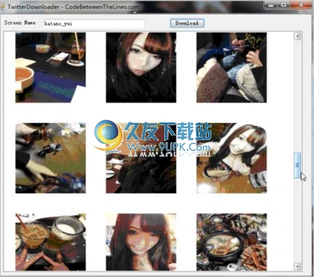 Twitter image Downloader 英文免安装版