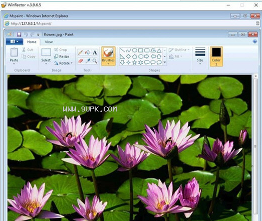 Winflector截图1