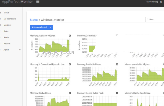 AppPerfect Agentless Monitor