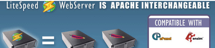 LiteSpeed截图1