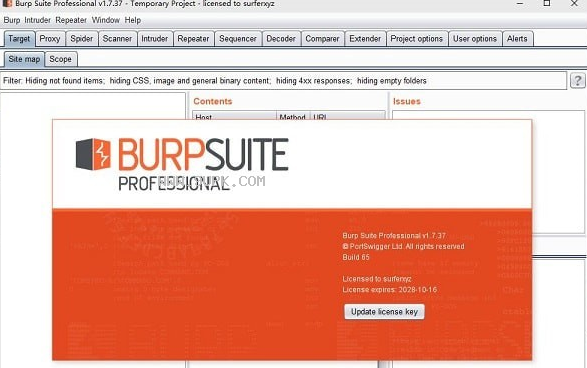 Burpsuite Pro截图2