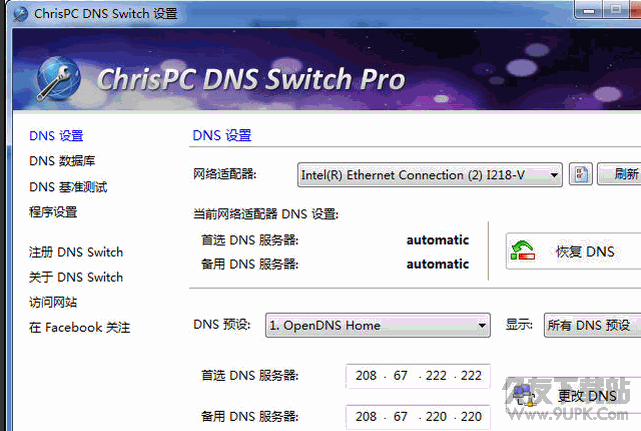 ChrisPC DNS Switch 汉化版截图1