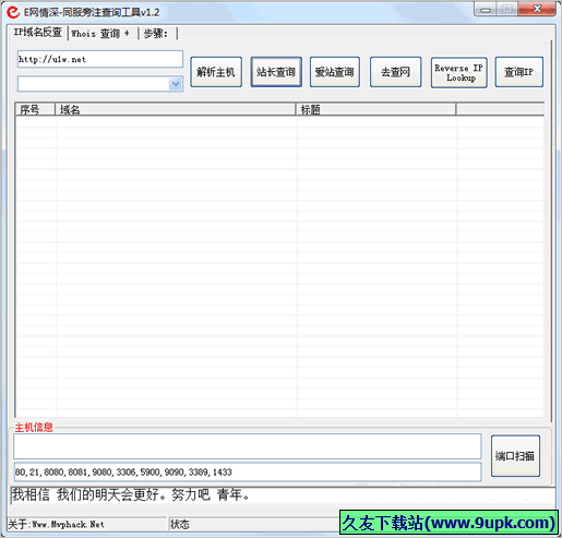 同服旁注查询工具 免安装版