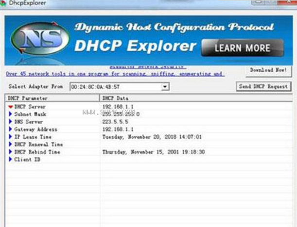 DhcpExplorer