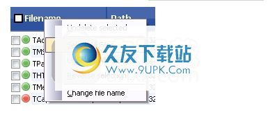 eSupportUndeletePlus