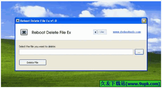 Reboot Delete File Ex 免安装版[文件强力删除器]