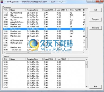 TopShow 最新免安装版[线程CPU使用率监视器]