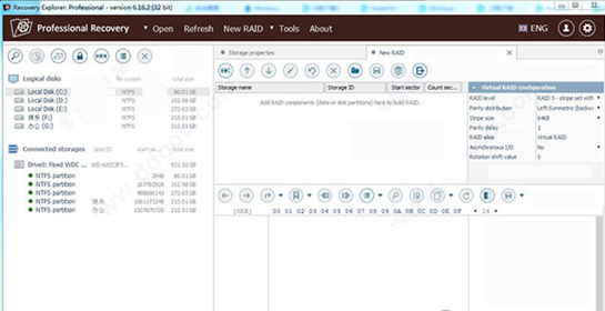 Recovery Explorer Pro