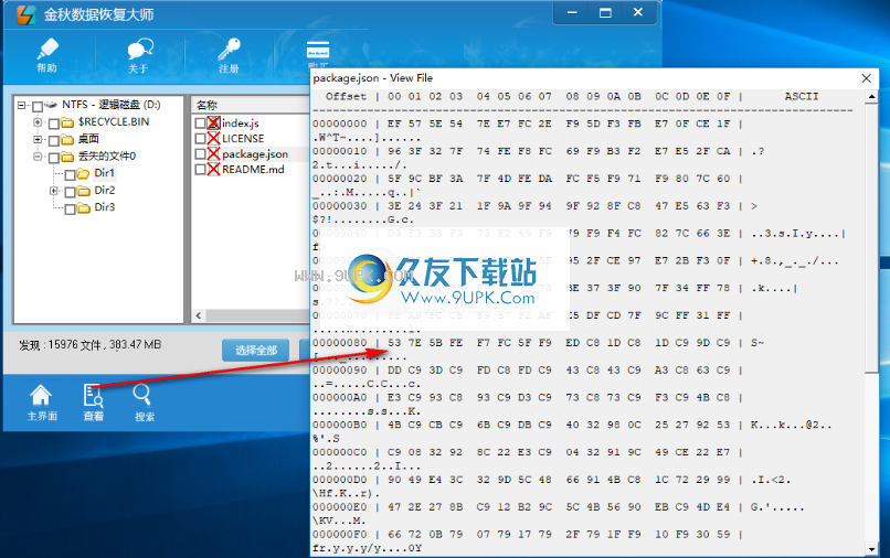 金秋数据恢复大师