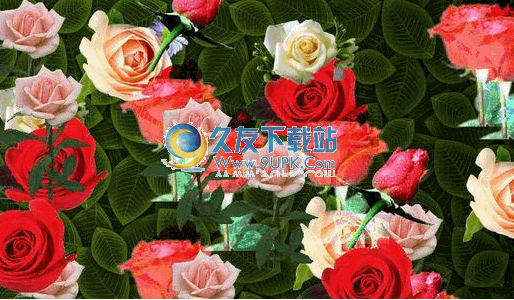 【情人节送女孩什么礼物】情人节送朵玫瑰花下载中文版