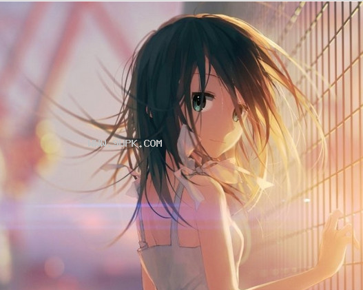 wallpaper engine风中白衣少女动态壁纸