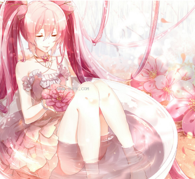 Wallpaper Engine樱雪Miku动态壁纸