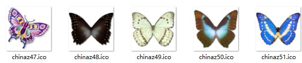 美丽蝴蝶电脑图标