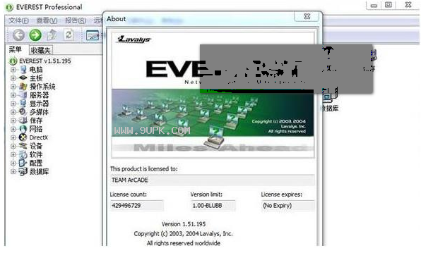 everestprofessional