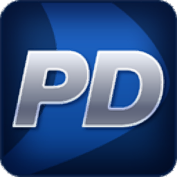 perfectdisk pro business