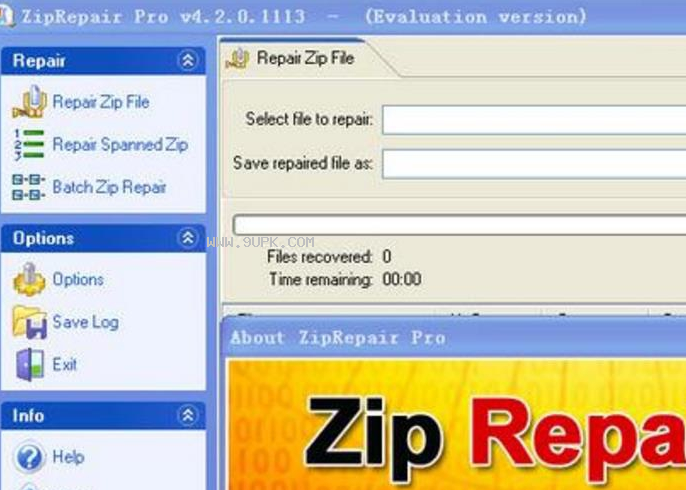 ZipRepairPro