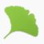 Gingko