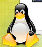 Fcitx(Linux输入法)