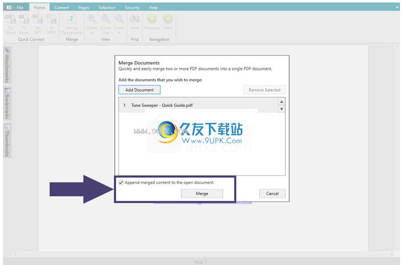 WideAnglePDFConverter