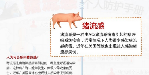 怎么预防猪流感