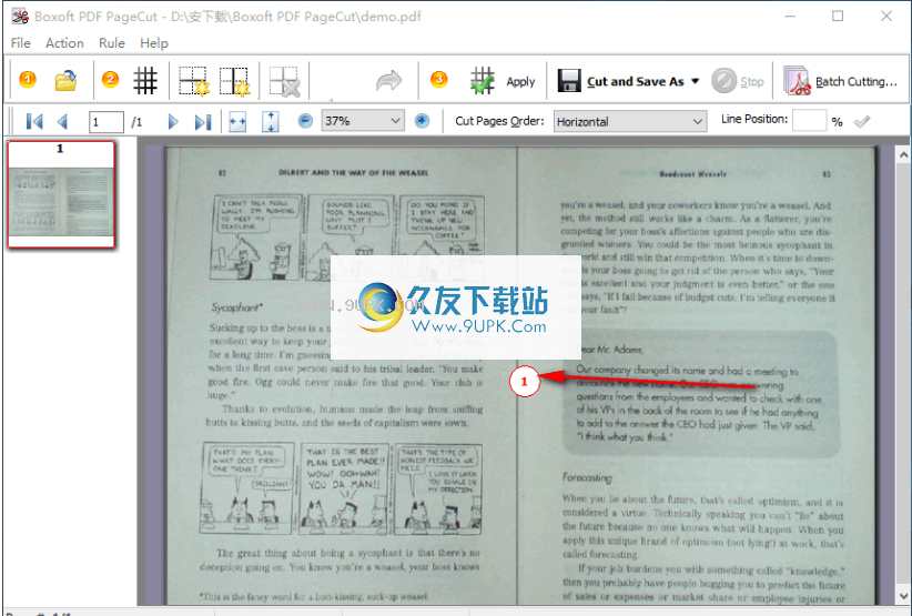 BoxoftPDFPageCut