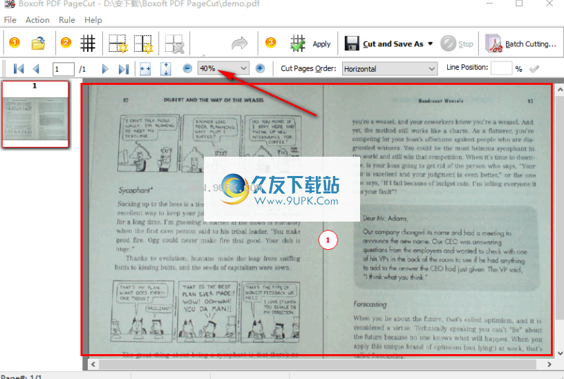 BoxoftPDFPageCut