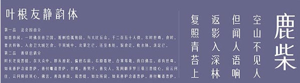 叶根友静韵体