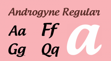 androgyne体