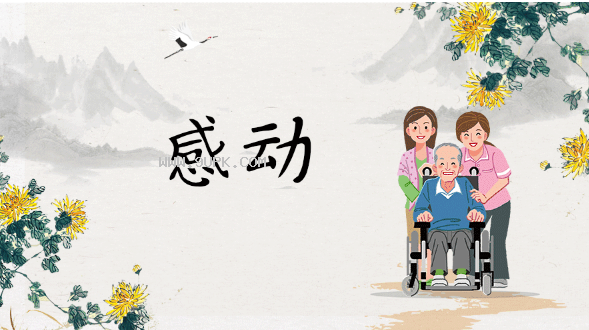 义启那年菊花开体