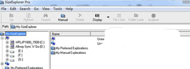 SizeExplorer Pro