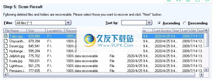 DataNumen NTFS Undelete
