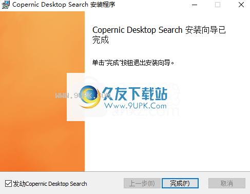 CopernicDesktopSearch7