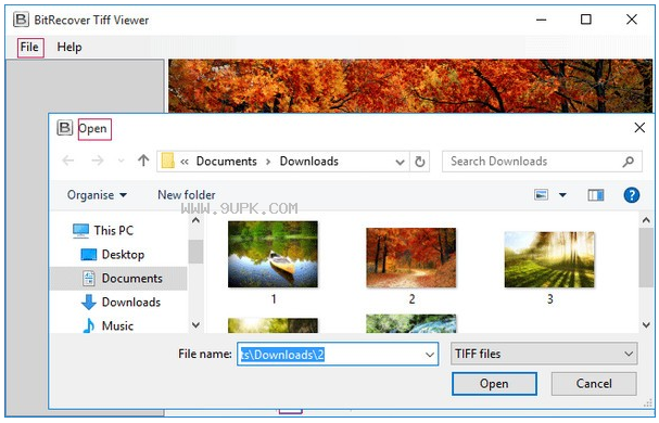 BitRecover Tiff Viewer