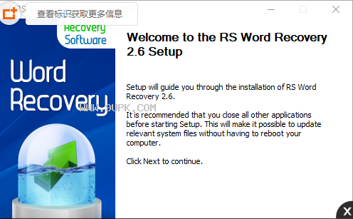 RS Word Recovery