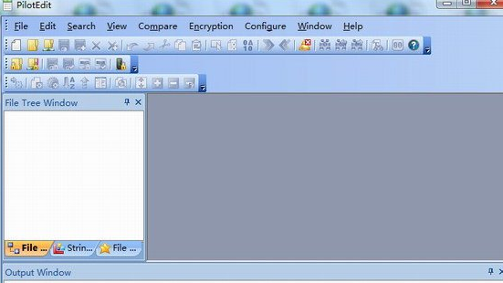 PilotEdit Lite