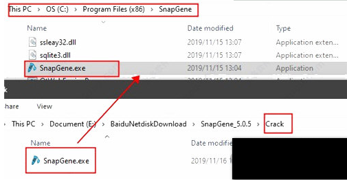 SnapGene破解补丁