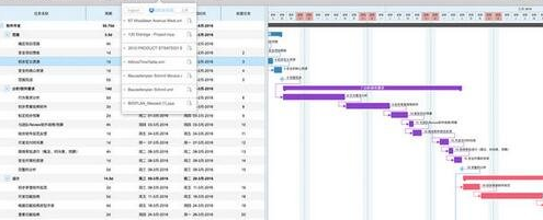 project planning pro for mac