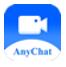 AnyChat