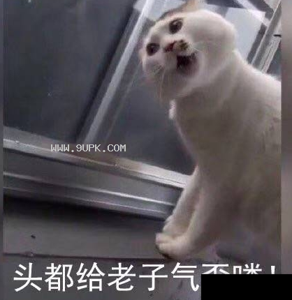 头都给老子气歪了qq表情包