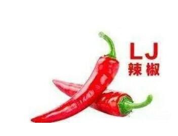 文明人qq表情包